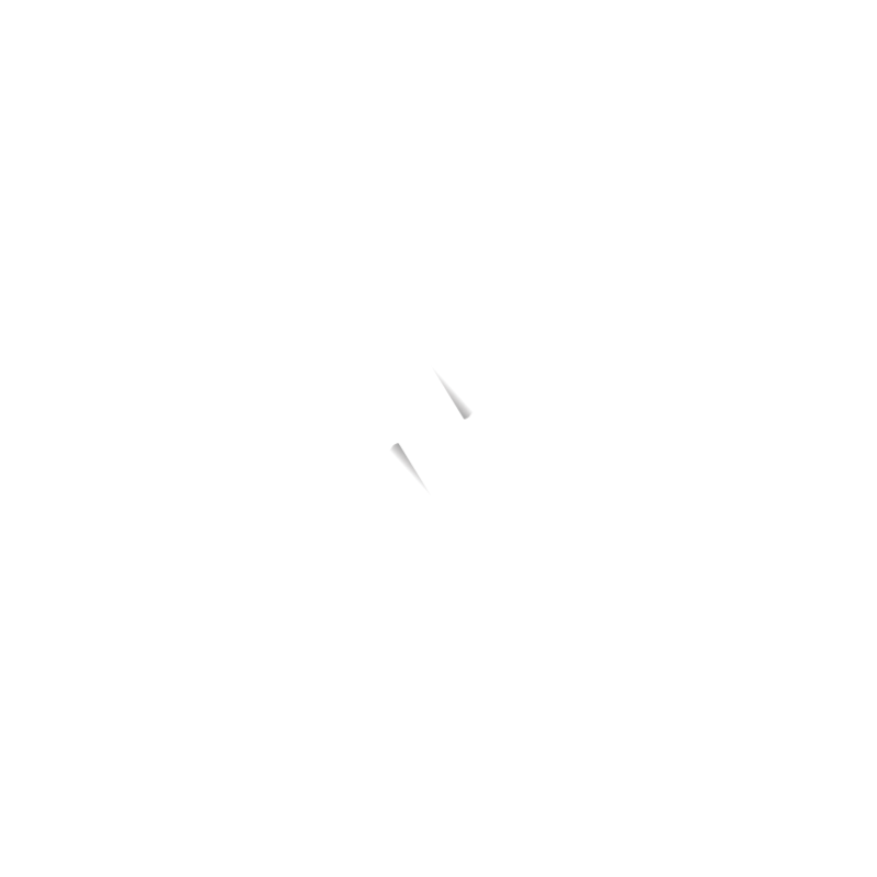 Visionex Logo